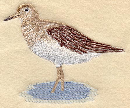 Sandpiper