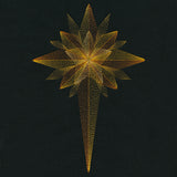 Blessed Evening Christmas Star