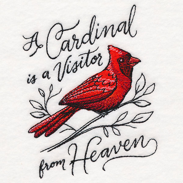 A Cardinal is a Visitor from Heaven