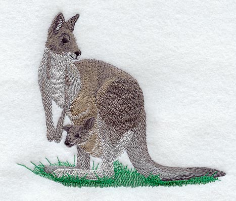 Kangaroo & Joey
