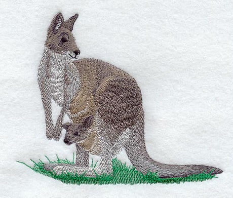 Kangaroo & Joey