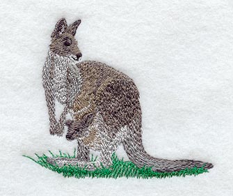 Kangaroo & Joey