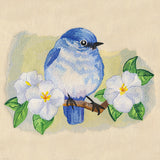 Blossoms & Bluebird in Watercolor