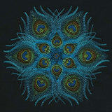 Kaleidoscope - Peacock Feathers