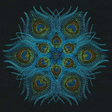 Kaleidoscope - Peacock Feathers