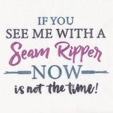 If You See Me With a Seam Ripper