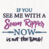 If You See Me With a Seam Ripper