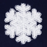 Snowflake (Fringe)