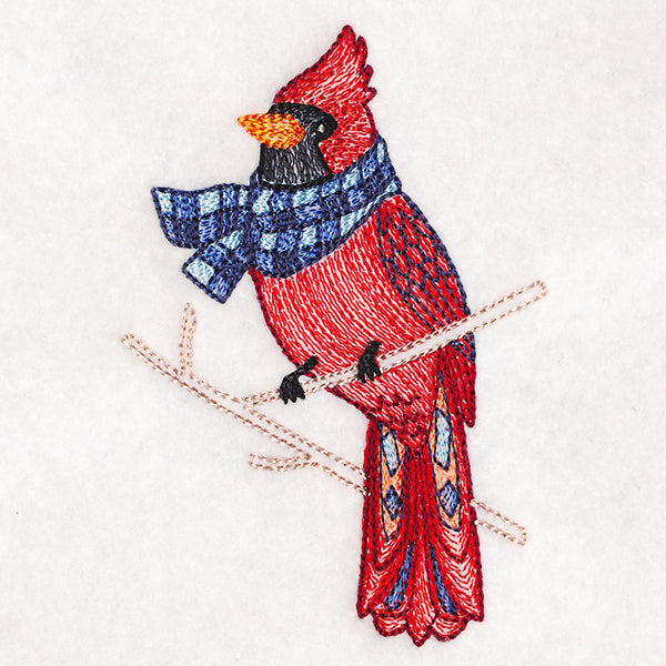 Bundled Up Birds - Cardinal