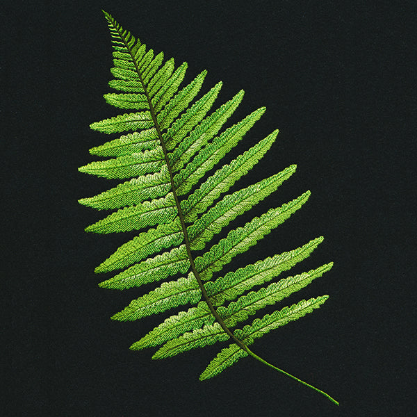 Fern Flourish