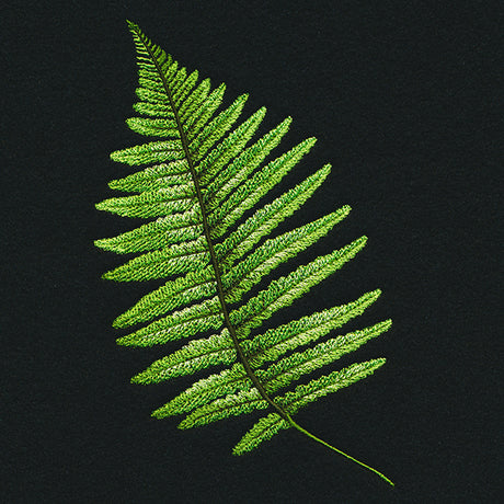 Fern Flourish