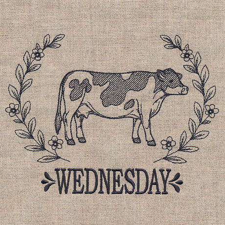 Farmhouse Cow on Wednesday
