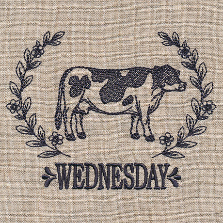 Farmhouse Cow on Wednesday