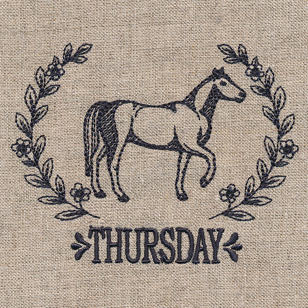 Farmhouse Horse on Thursday