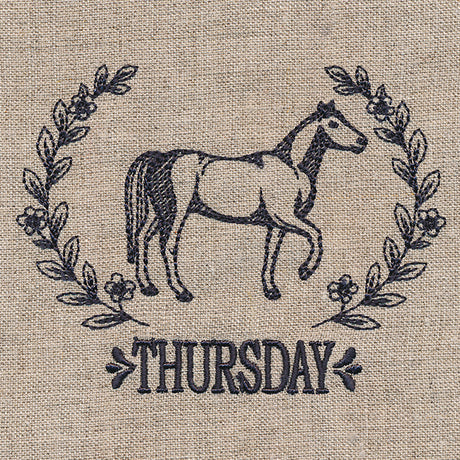 Farmhouse Horse on Thursday