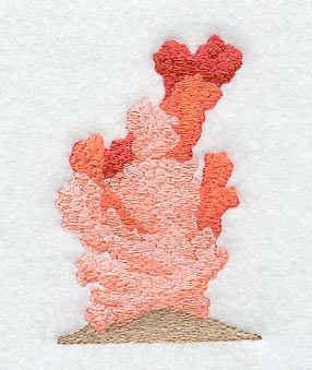 Coral #2