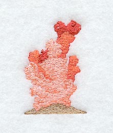Coral #2