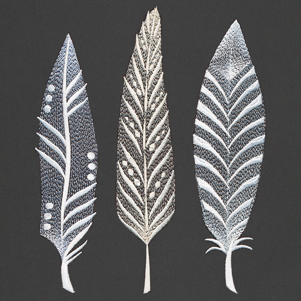 Modern Feathers Trio