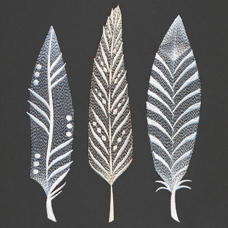 Modern Feathers Trio