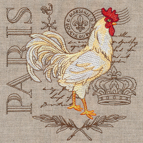 French Farmhouse Chicken Medley