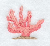 Coral #1