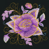 Folk Botanicals Feature