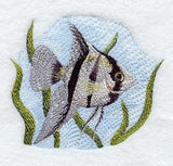 Angelfish (Striped)