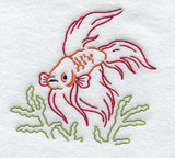 Siamese Fighting Fish-Graphic