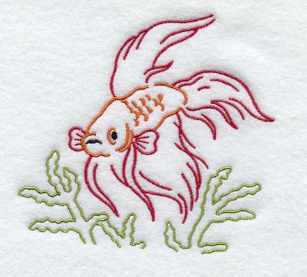 Siamese Fighting Fish-Graphic