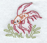Siamese Fighting Fish-Graphic