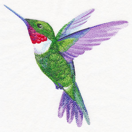 Ruby-Throated Hummingbird in Watercolor