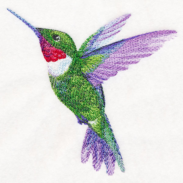 Ruby-Throated Hummingbird in Watercolor
