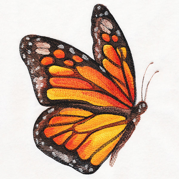Monarch in Watercolor