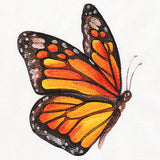Monarch in Watercolor