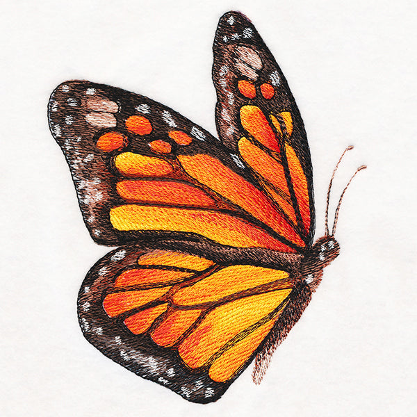 Monarch in Watercolor