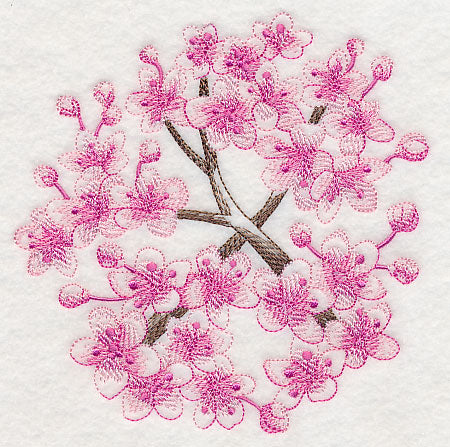 Cherry Blossom Beauty 1