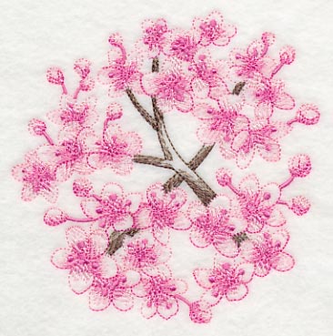 Cherry Blossom Beauty 1