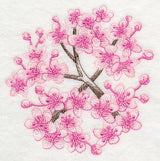 Cherry Blossom Beauty 1