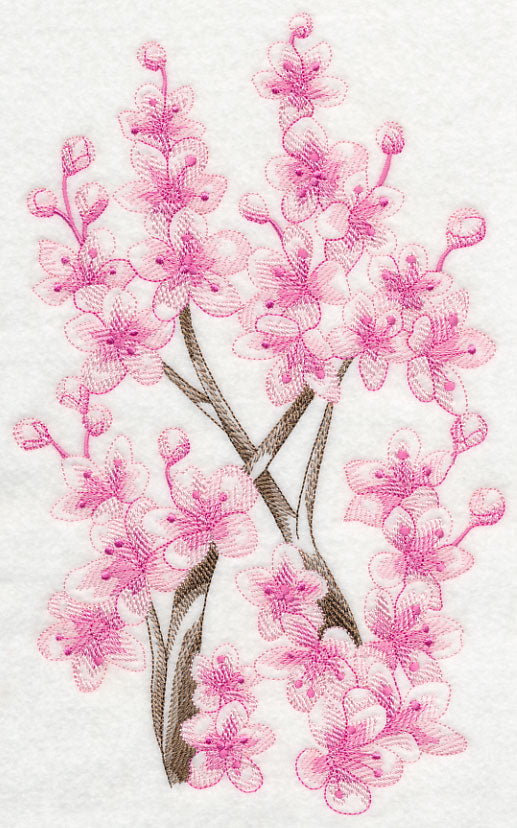 Cherry Blossom Beauty 2