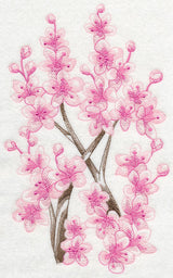 Cherry Blossom Beauty 2