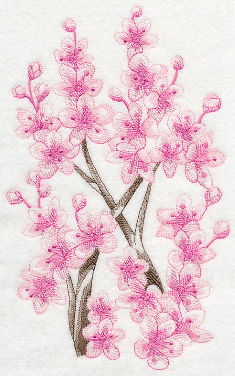 Cherry Blossom Beauty 2