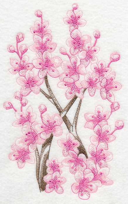 Cherry Blossom Beauty 2