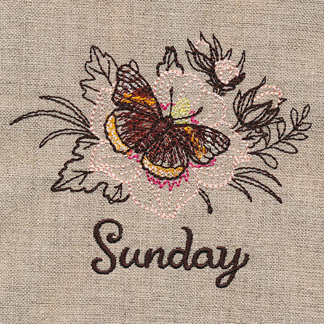 Blessed Sunday - Red Admiral & Rose of Sharon