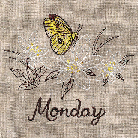 Blessed Monday - Clouded Sulfur & Star of Bethlehem