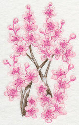 Cherry Blossom Beauty 2