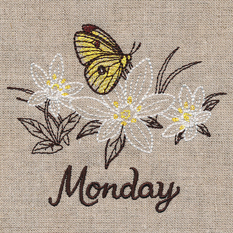 Blessed Monday - Clouded Sulfur & Star of Bethlehem