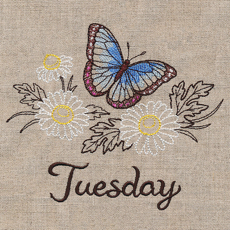 Blessed Tuesday - Blue Morpho & Chamomile