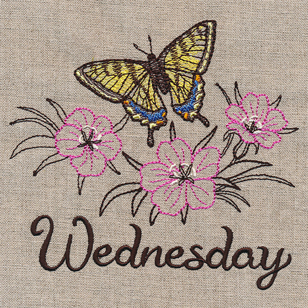 Blessed Wednesday - Tiger Swallowtail & Corncockle