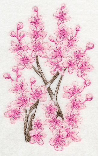 Cherry Blossom Beauty 2