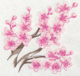 Cherry Blossom Beauty 3